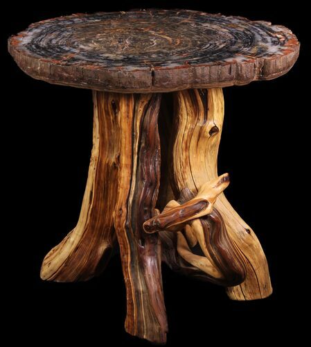 Arizona Petrified Wood Table With Wood Base #94518